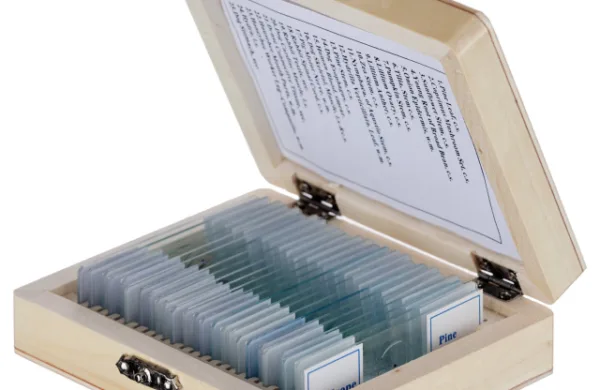 AmScope PS25W 25 Glass Prepared Microscope Slides w/ Wooden Box