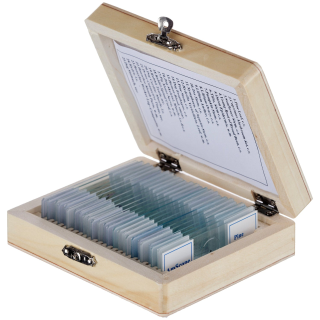 AmScope PS25W 25 Glass Prepared Microscope Slides w/ Wooden Box