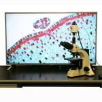 AmScope HD1080 1080p 60fps 2MP HDMI High-sensitivity Color CMOS C-mount Microscope Camera for Stand-alone and PC Imaging - Image 2