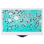 AmScope HD1080-HDM 1080p 60fps 2MP HDMI High-sensitivity Color CMOS C-mount Microscope Camera with Monitor for Stand-alone and PC Imaging - Image 3