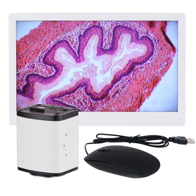 imageye___-_imgi_44_microscope-camera-hd1080a-tp18-01b.jpeg AmScope HD1080A-HDM 1080p 15fps 5MP HDMI Color CMOS C-mount Microscope Camera with Monitor for Stand-alone and PC Imaging - Image 1