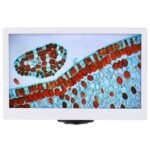 AmScope HD1080A-HDM 1080p 15fps 5MP HDMI Color CMOS C-mount Microscope Camera with Monitor for Stand-alone and PC Imaging - Image 4